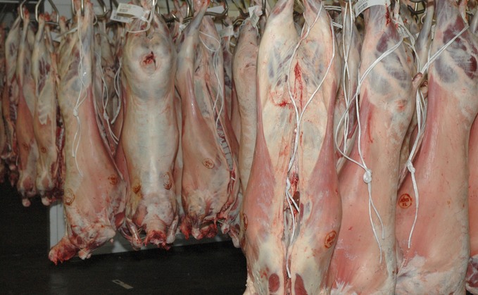 Legislation to mandate sheep carcase classification and price reporting