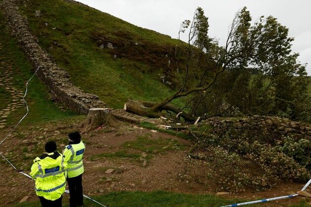 Devastating Sycamore Gap tree felling must start one vital conversation in Britain - UK