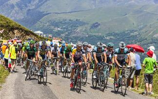 Diseased cows cause Tour de France route to be changed 