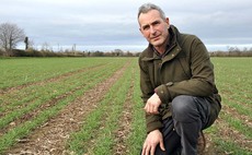 How one farmer is rethinking T1 to get on top of yellow rust