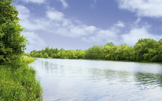 Sewage overflows into UK rivers affects biodiversity and human health