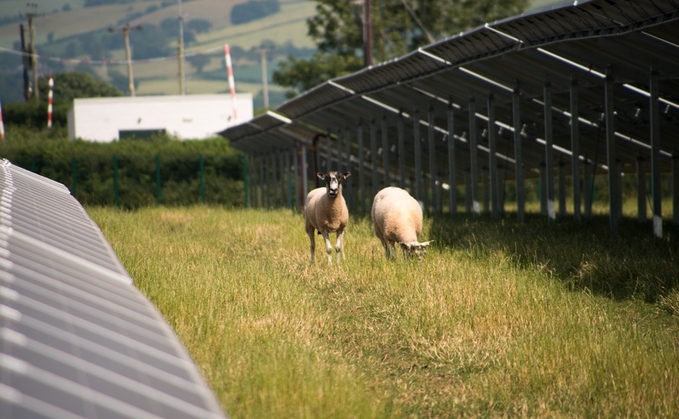 Renewables industry hits back at Liz Truss's 'depressing' solar jibe