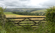 How revisiting past practices allowed a mixed farm to be financially resilient while boosting biodiversity