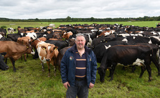 Ayrshires play key role in Yorkshire family farming business