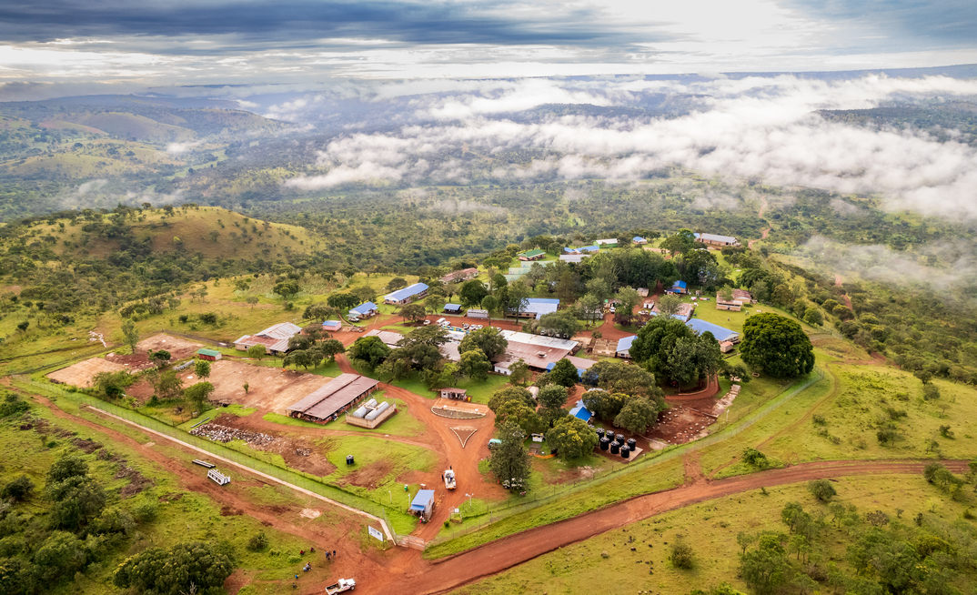 Lifezone looking to end of the year for partner