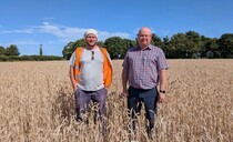 "The challenges are coming at us faster than solutions," says Suffolk based arable farmer