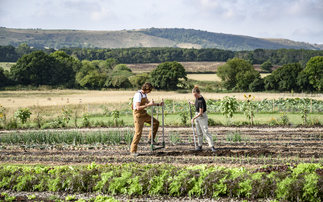 Landscape Enterprise Networks: Regenerative farming scheme wins King's Award for innovation