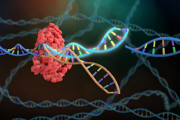 Gene editing needs to become more precise to live up to its promise