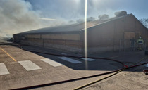 Around 3,000 birds killed in turkey shed fire