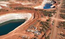 Capricorn wins over Warriedar holders with upsized bid 