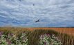 A Rex FIFO plane taking off. Photo courtesy National Jet Express