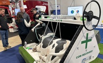 Cow recovery bucket aims to make it easier and safer to move 'down' cows