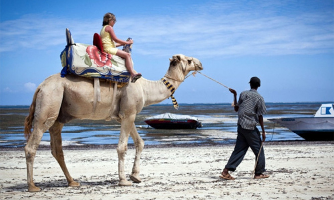 Tourist arrivals to Kenya tumble over security concerns Tourist arrivals to Kenya tumble over security concerns