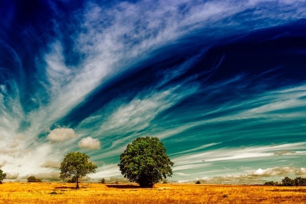 El Niño risk could worsen food crisis in vulnerable regions 