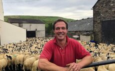 In your field: Thomas Carrick - 'Genetic diversity for a flock of animals is a good thing'