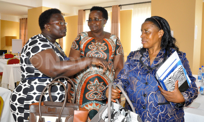 Public urged to embrace tree planting to combat climate change Public urged to embrace tree planting to combat climate change