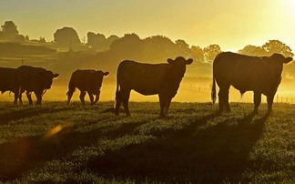 Environmental grant scheme opens for new funding round 