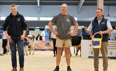 Holstein young breeders shave hair for charity   