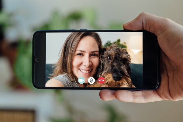 Online sessions with therapy dogs can help students feel less stressed