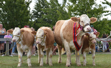 Great Yorkshire Show: Trixie-Belle and triplets take top honours in beef line-up