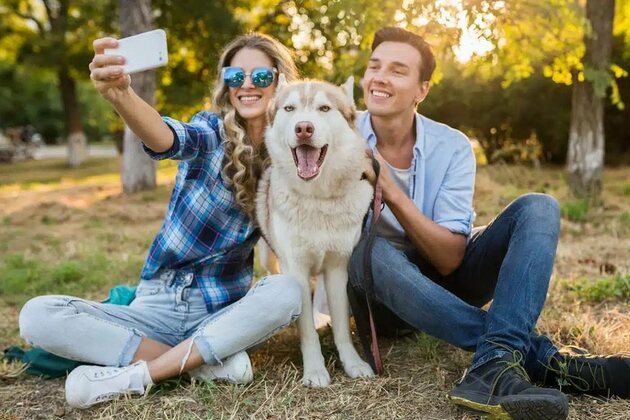Dogs transform Costa Rica homes and move the market - Q COSTA RICA
