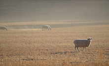 Low interest loans are now available to farmers in South Australia impacted by drought.
