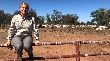 CDU researchers Beth Penrose and Sunil Kadri are exploring the impact of virtual fences on NT farms.