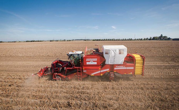 Potato and field veg price rises not compensating for yield hit