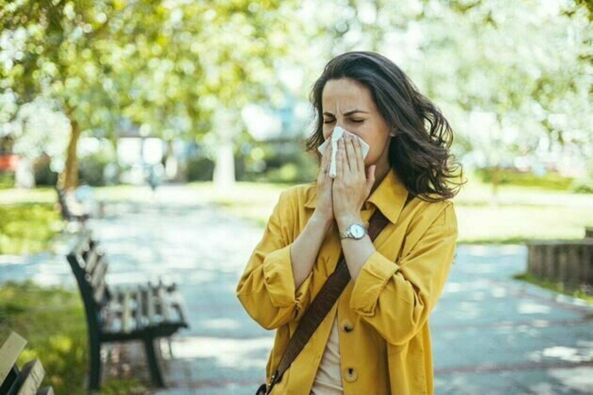Hay fever: new immunotherapy approved in England for people with severe birch pollen allergies