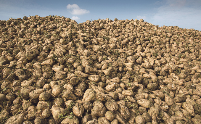 Failed talks with NFU Sugar on next year's beet contracts