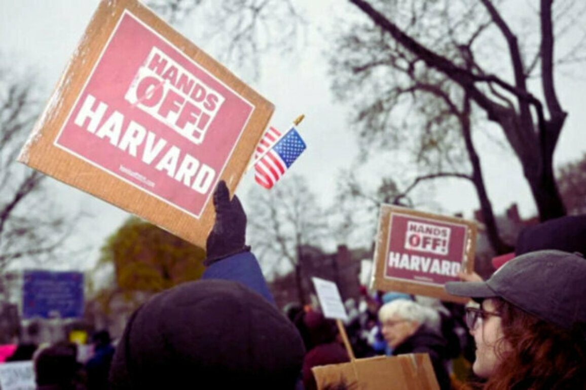 At Least 20 Bulgarians Might Leave Harvard After Trump Visa Crackdown