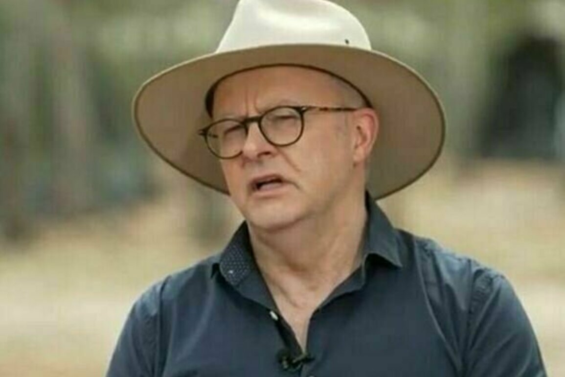 Royal commission now: The case against Albaneses environmental record