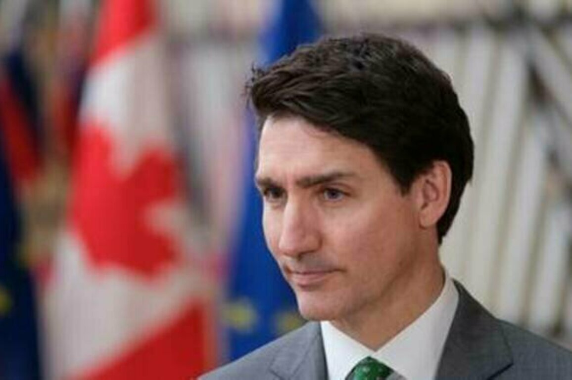 Trudeau blasts Trump's 'dumb' tariffs