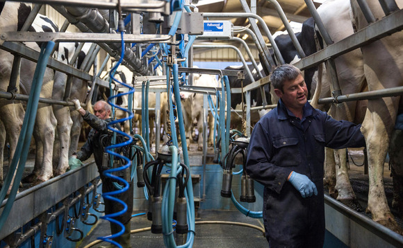 How to build a strong team on your dairy farm
