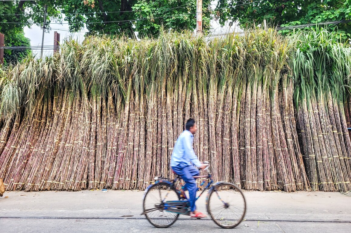 ISMA welcomes Government nod for sugar exports, seeks revision of MSP and ethanol prices
