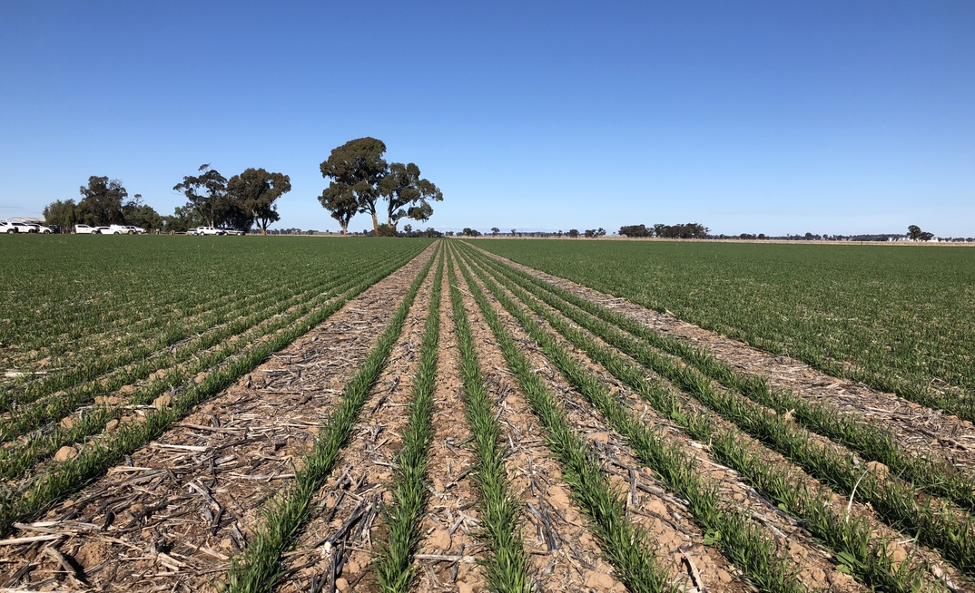 Greenhouse gas emissions are the focus of a national $39 million project for grain growers.  