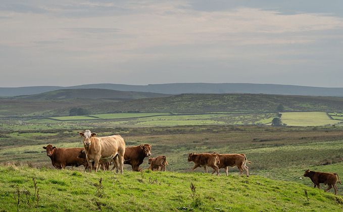Managing disease in regenerative agriculture