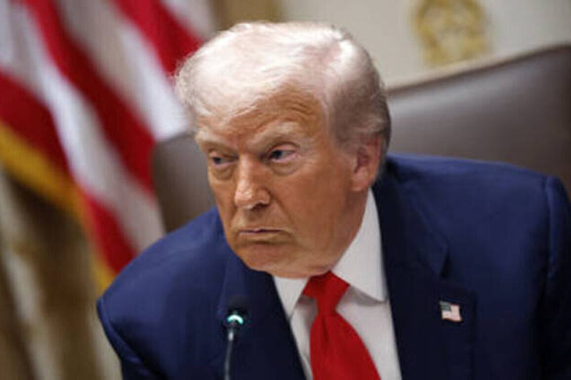 What exactly are Greenland's riches that Trump wants so much?