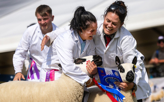 Building Hassockrigg: Sophie McCarlie's journey from first gimmers to Highland Show glory