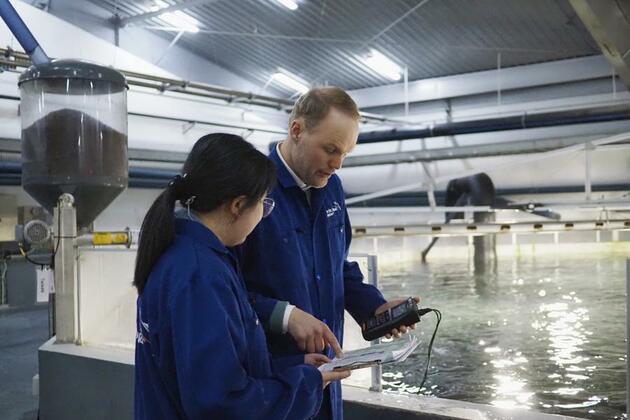 Atlantic salmon thrives in China, so does a Norwegian company