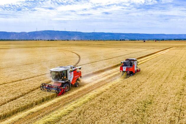 China sees more prosperous agriculture, livable countryside