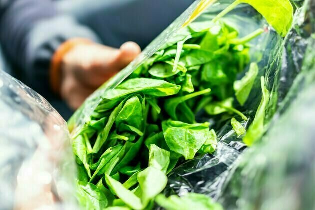 Why have supermarkets around Australia recalled bagged salad products? A gastroenterologist explains