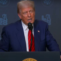 "I don't know anything about it": Trump on US imports of Russian chemicals and fertilizers