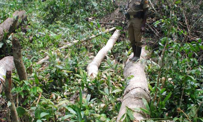 Consider environmental impact in oil roads, pipeline construction - experts Consider environmental impact in oil roads, pipeline construction - experts