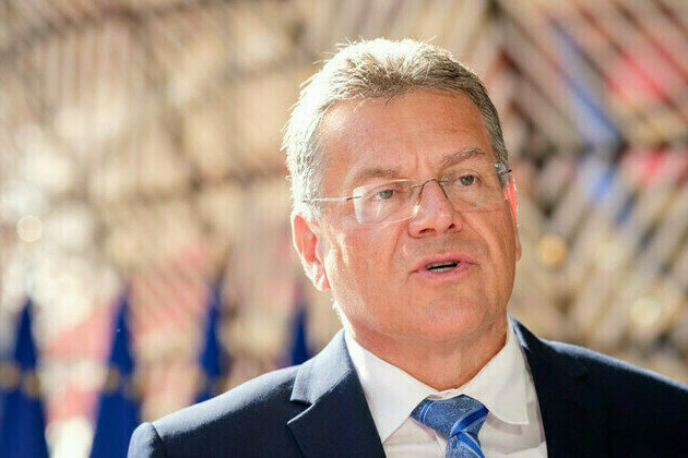 EU to wield every tool against US tariffs  trade chief
