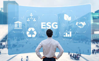 ESG adoption in EMEA hits 'all-time high' amid global political and economic headwinds