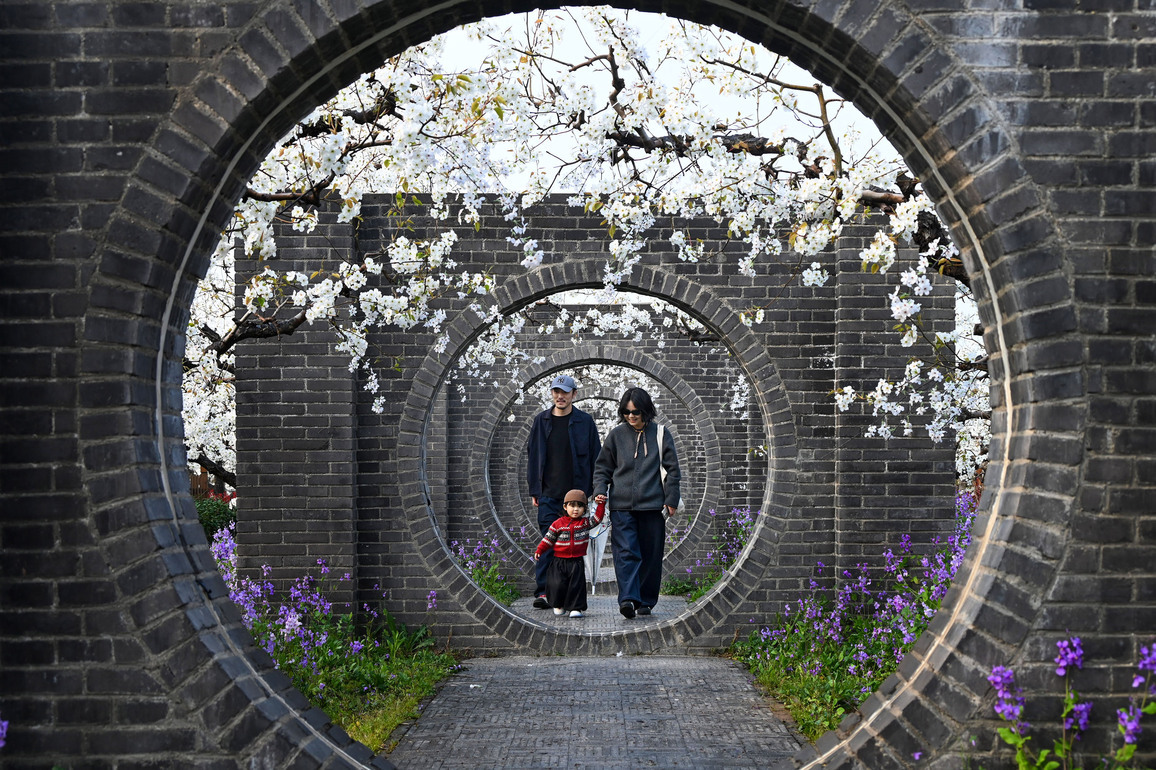 CHINA-ANHUI-DANGSHAN-SPRING-PEAR BLOSSOMS (CN)
