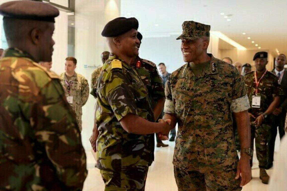 US reviewing future of military command in Africa