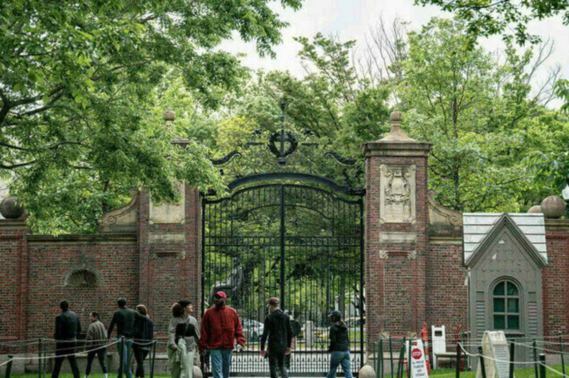 Ivy League in survival mode  US university president
