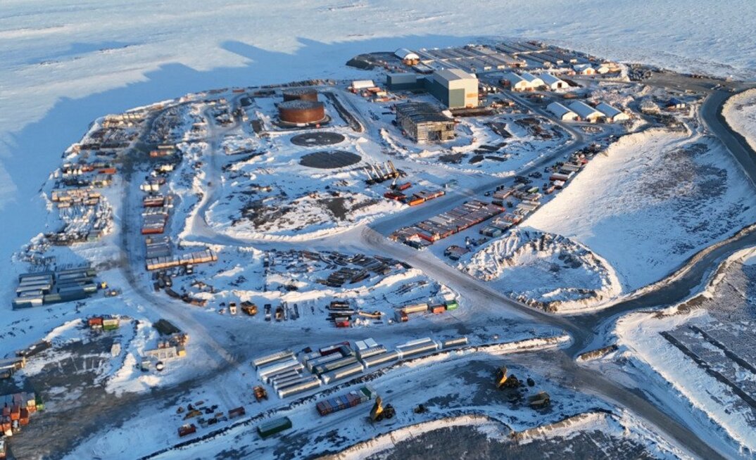 Goose in Nunavut, Canada